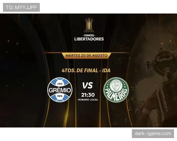 解放者杯赛程表 解放者杯赛程表