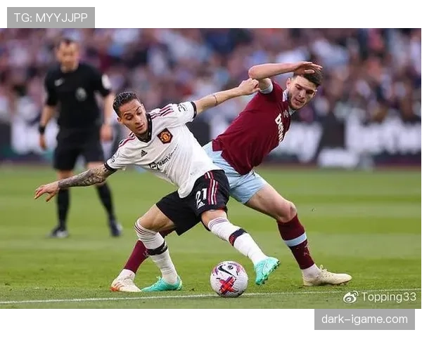 赖斯防守角色定位与战术价值分析